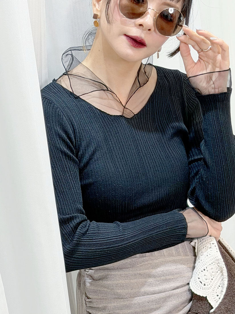 Mesh Trim Rib Knit Top (2 Colours)