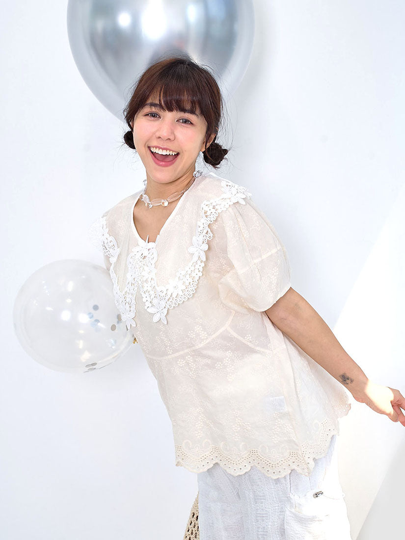 Transparent Lace Collar Embroidered Top
