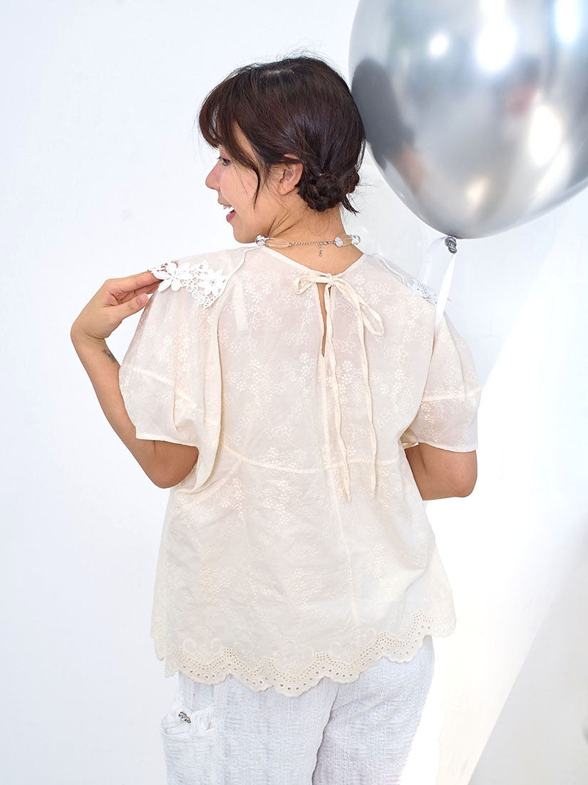 Transparent Lace Collar Embroidered Top
