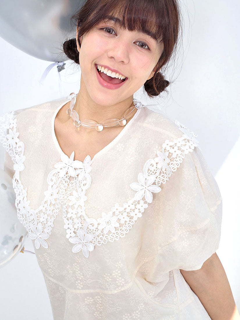 Transparent Lace Collar Embroidered Top