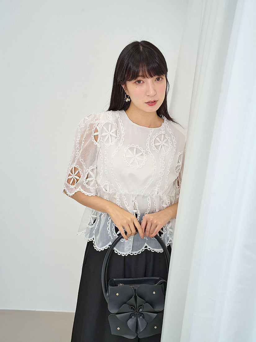 Stretch Waist Embroidered Chiffon Top