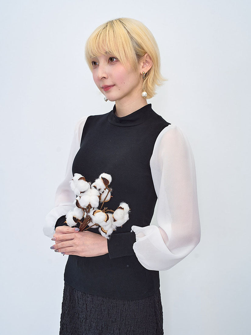 Chiffon Sleeve Basic Top (2 Colours)