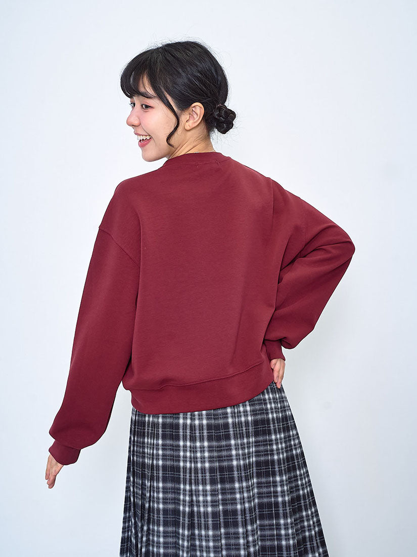 Apparel Embroidered Sweatshirt (2 Colours)