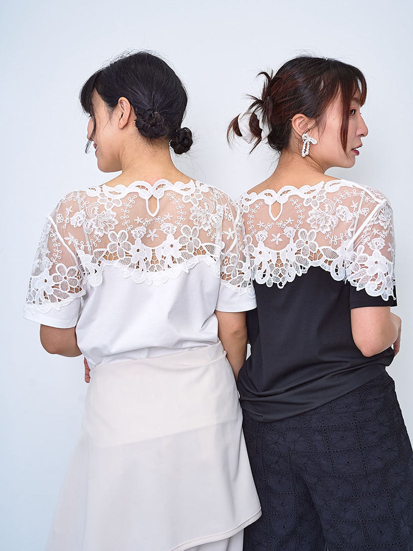Lace Yoke Sleeve Panel Top (2 Colours)