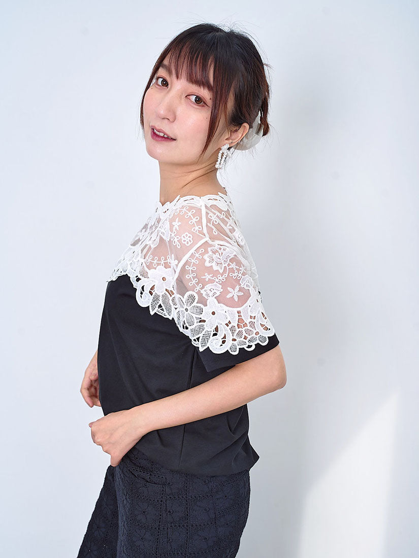 Lace Yoke Sleeve Panel Top (2 Colours)