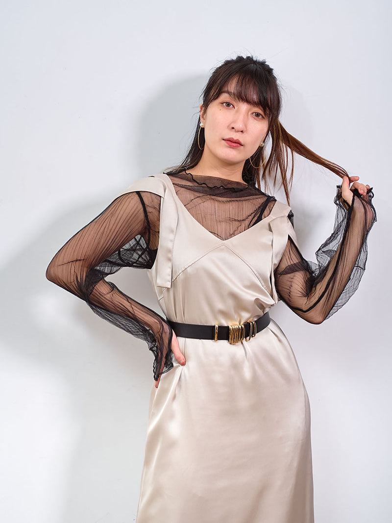Side Slit Sheer Pleated Mesh Dress (2 Colours)