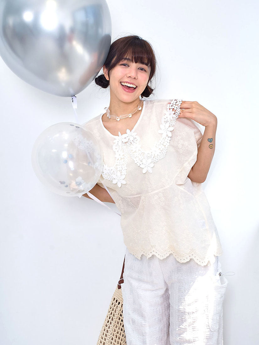 Transparent Lace Collar Embroidered Top
