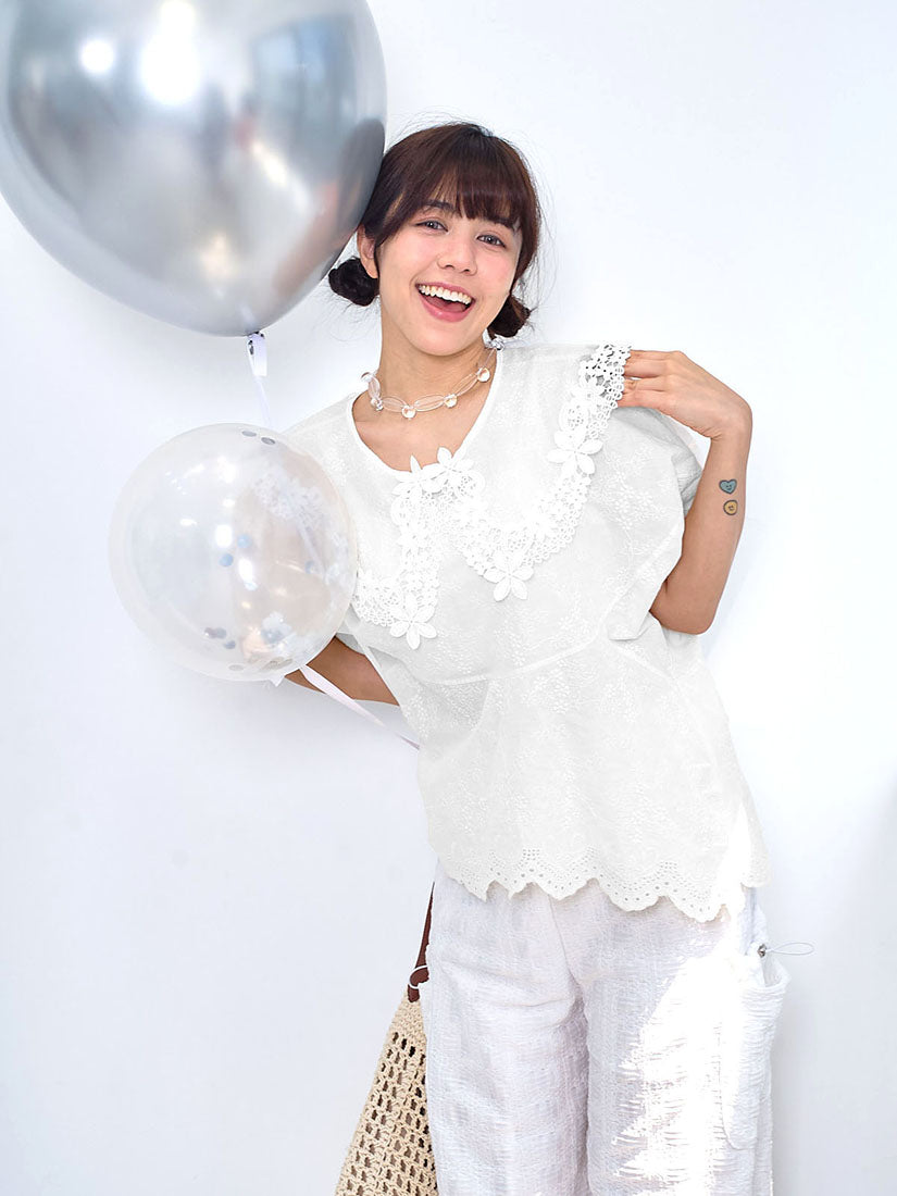 Transparent Lace Collar Embroidered Top