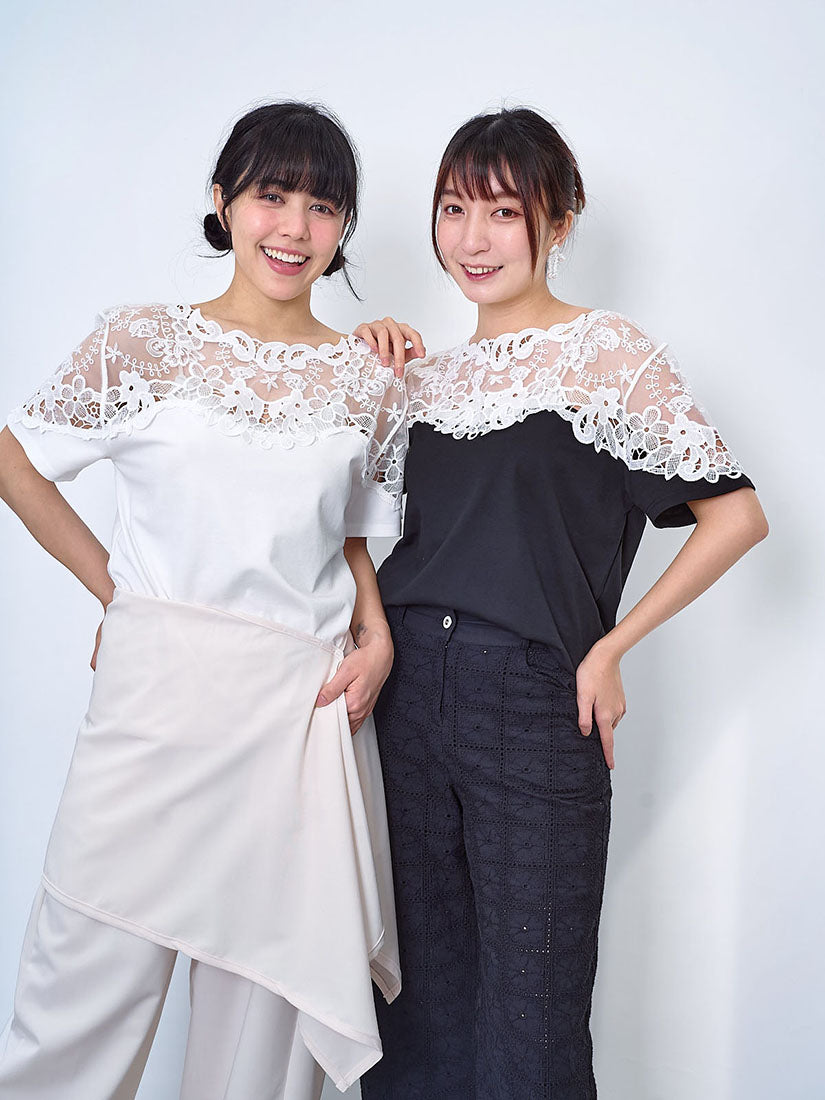 Lace Yoke Sleeve Panel Top (2 Colours)