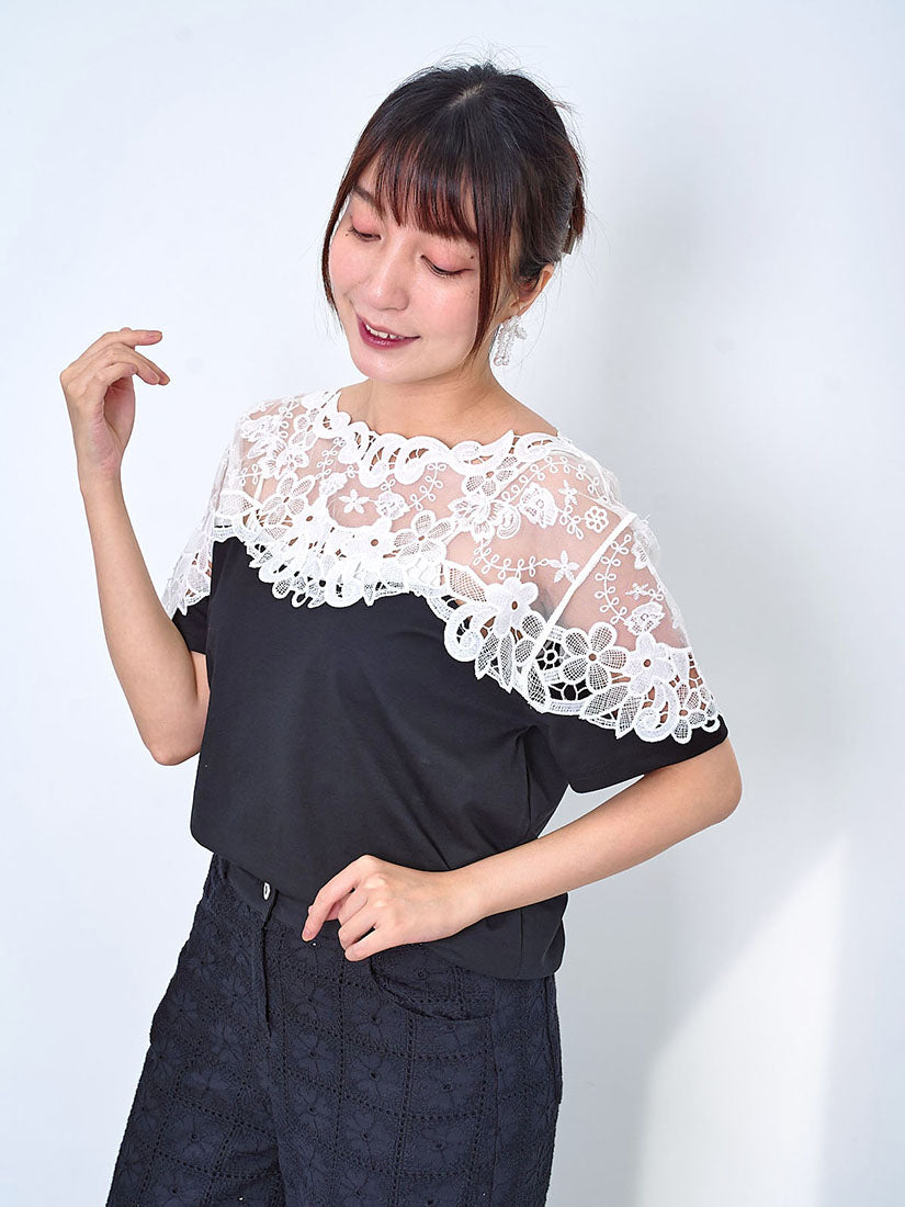 Lace Yoke Sleeve Panel Top (2 Colours)