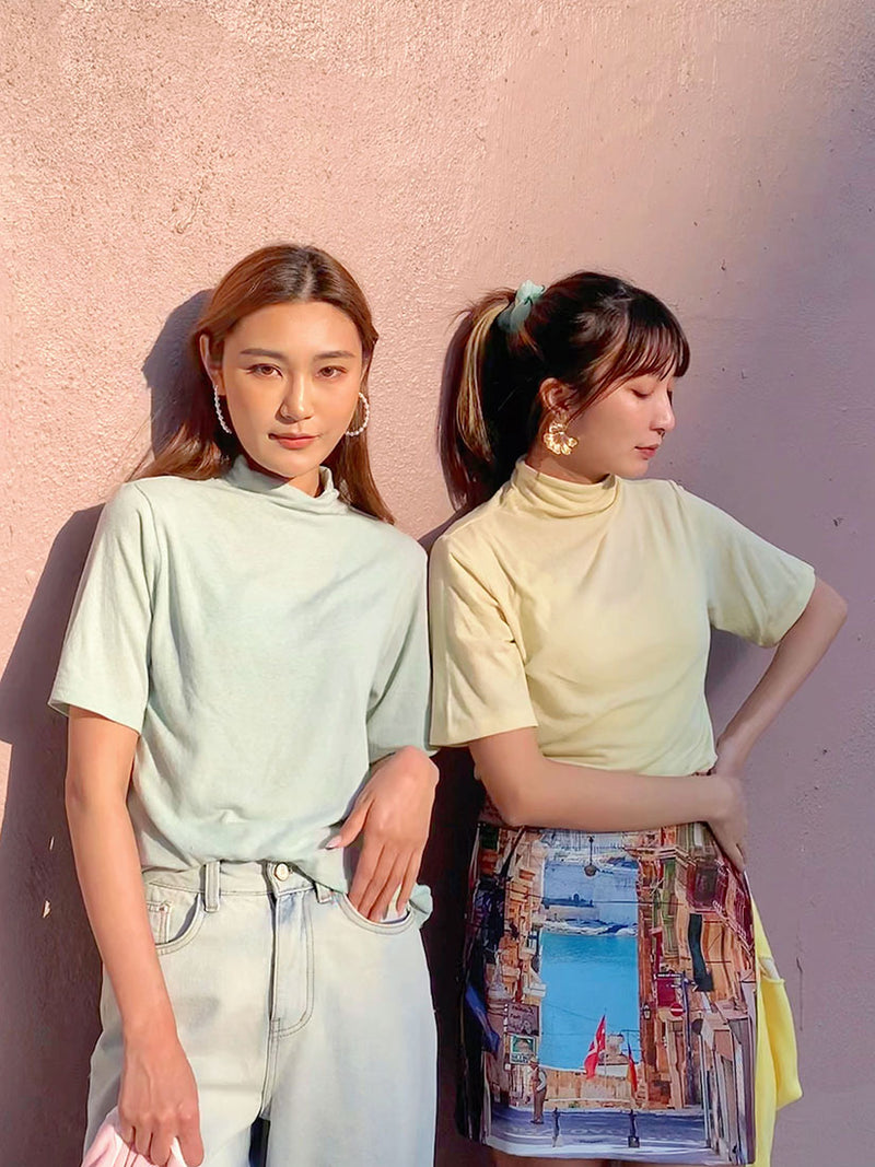 Turtle Neck Basic Top (4 Colours）